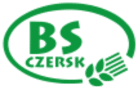Zielone logo z napisem bss, stworzone przez agencję marketingową.