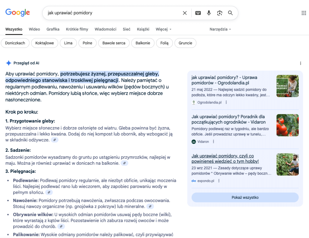 Strona wyników wyszukiwania Google dla frazy "jak uprawiać pomidory" pokazująca polecany fragment z instrukcjami krok po kroku w języku polskim, jak uprawiać pomidory.